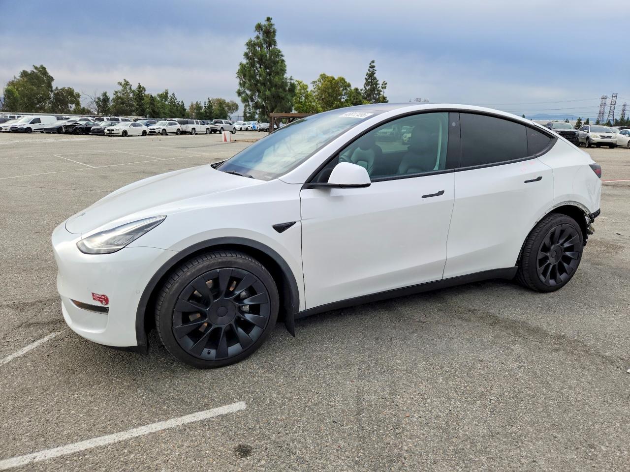Salvage Tesla Model Y Image