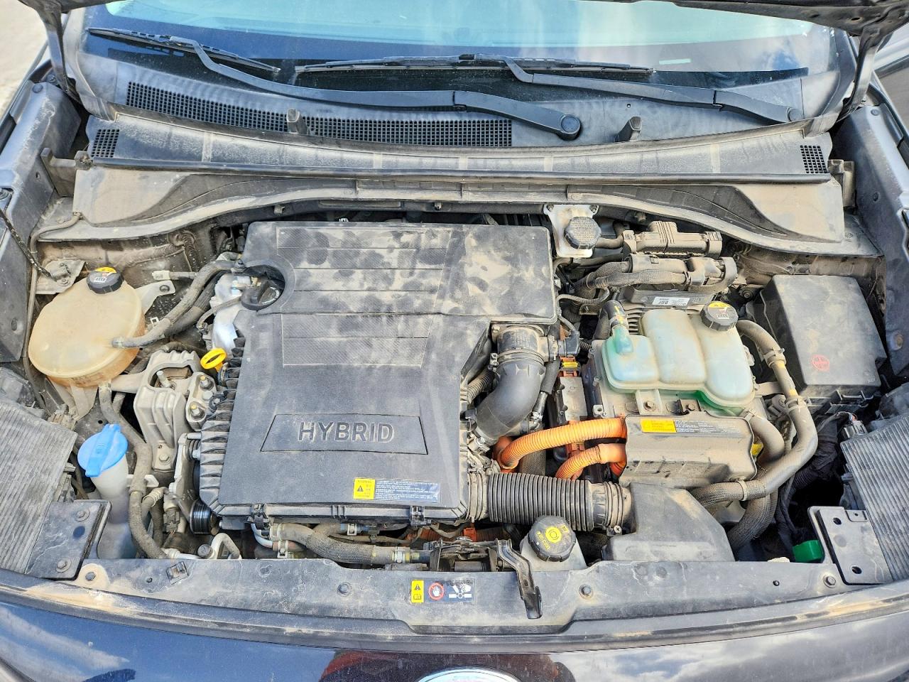 Kia Niro Ex