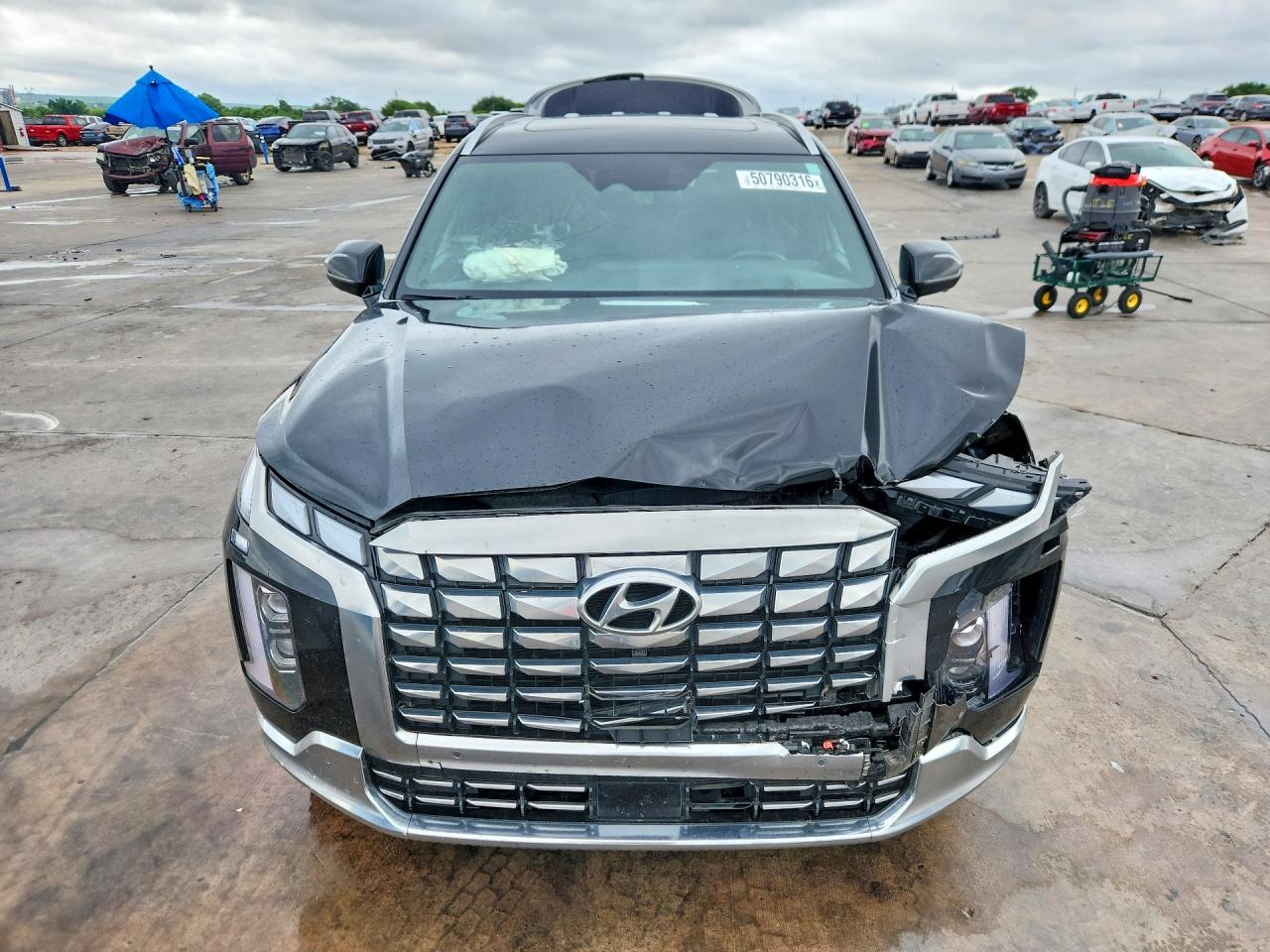Hyundai PALISADE Calligraphy