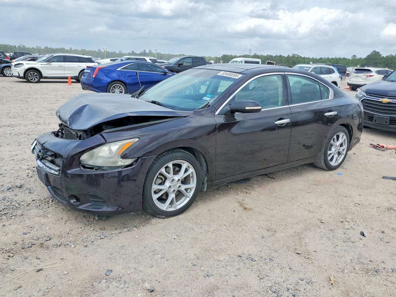 Salvage Nissan Maxima Image