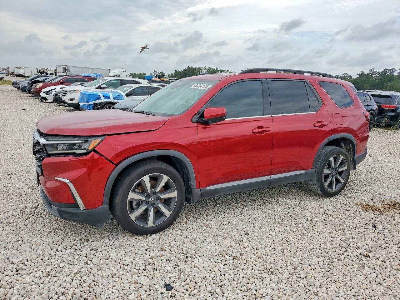 Salvage Honda Pilot Image