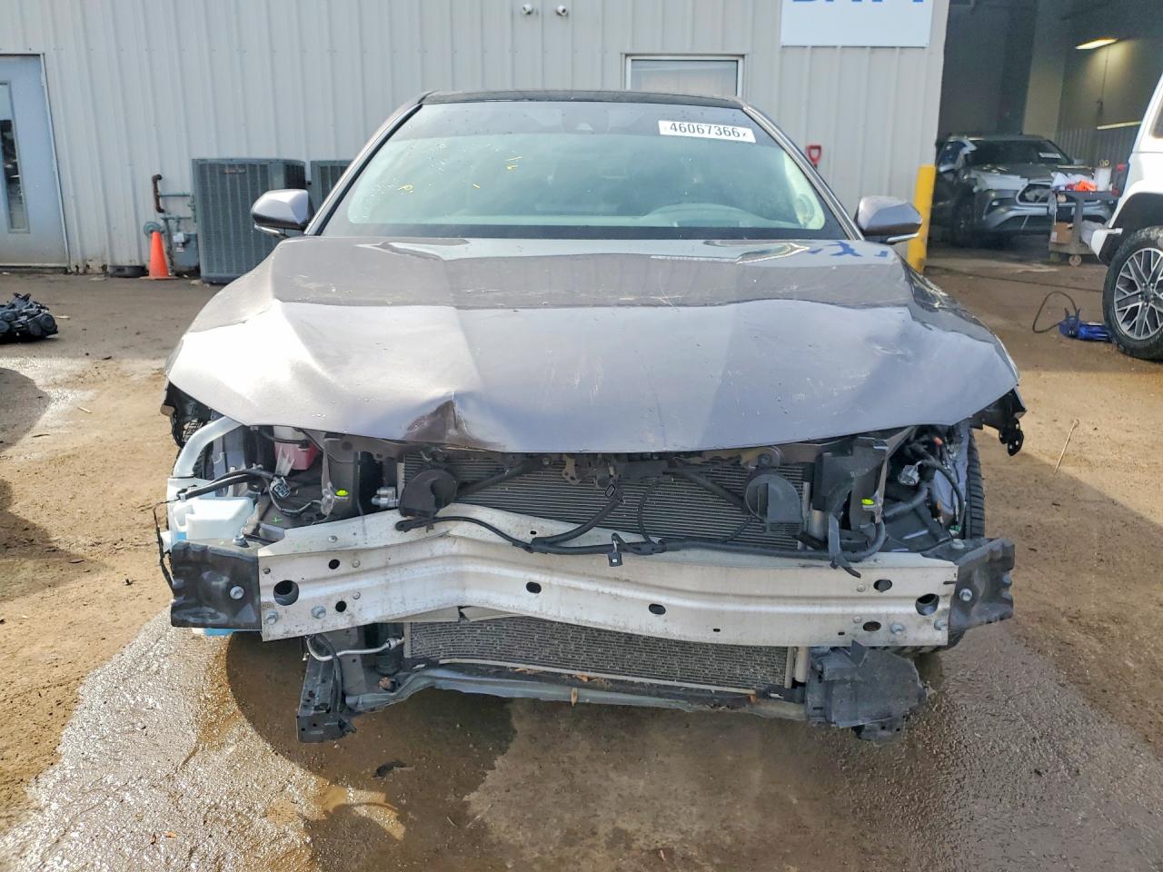 Toyota Camry Xle