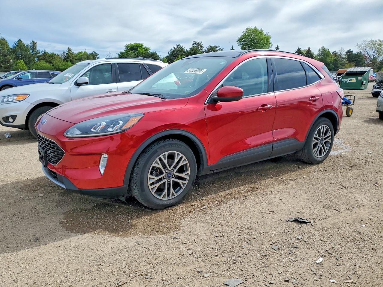 Salvage Ford Escape Image