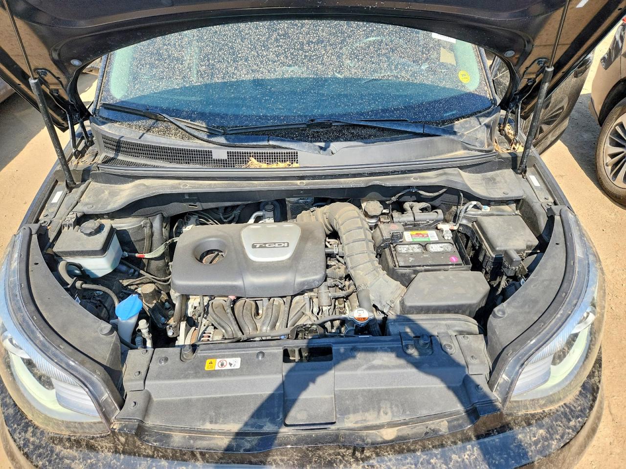 Kia Soul !