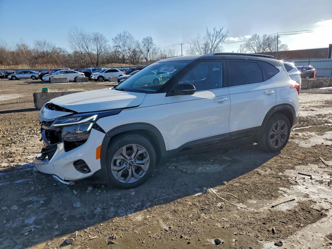 Salvage Kia Seltos Image