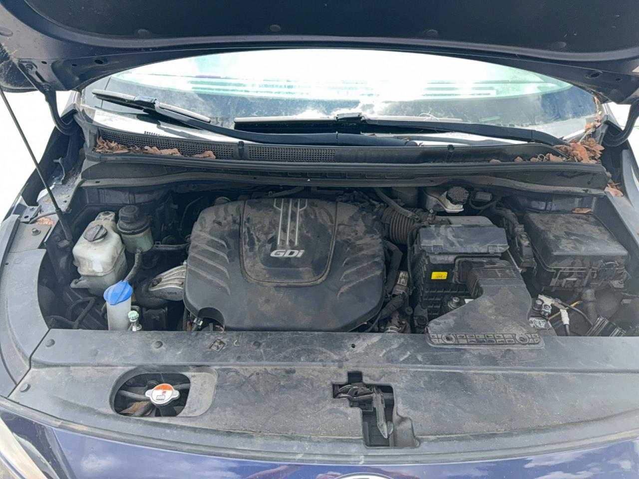 Kia Sedona Ex