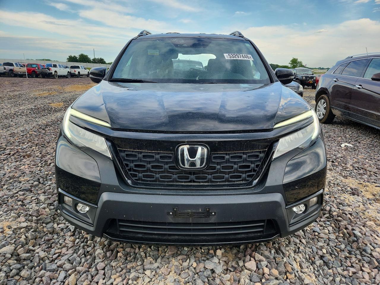 Honda Passport Elite