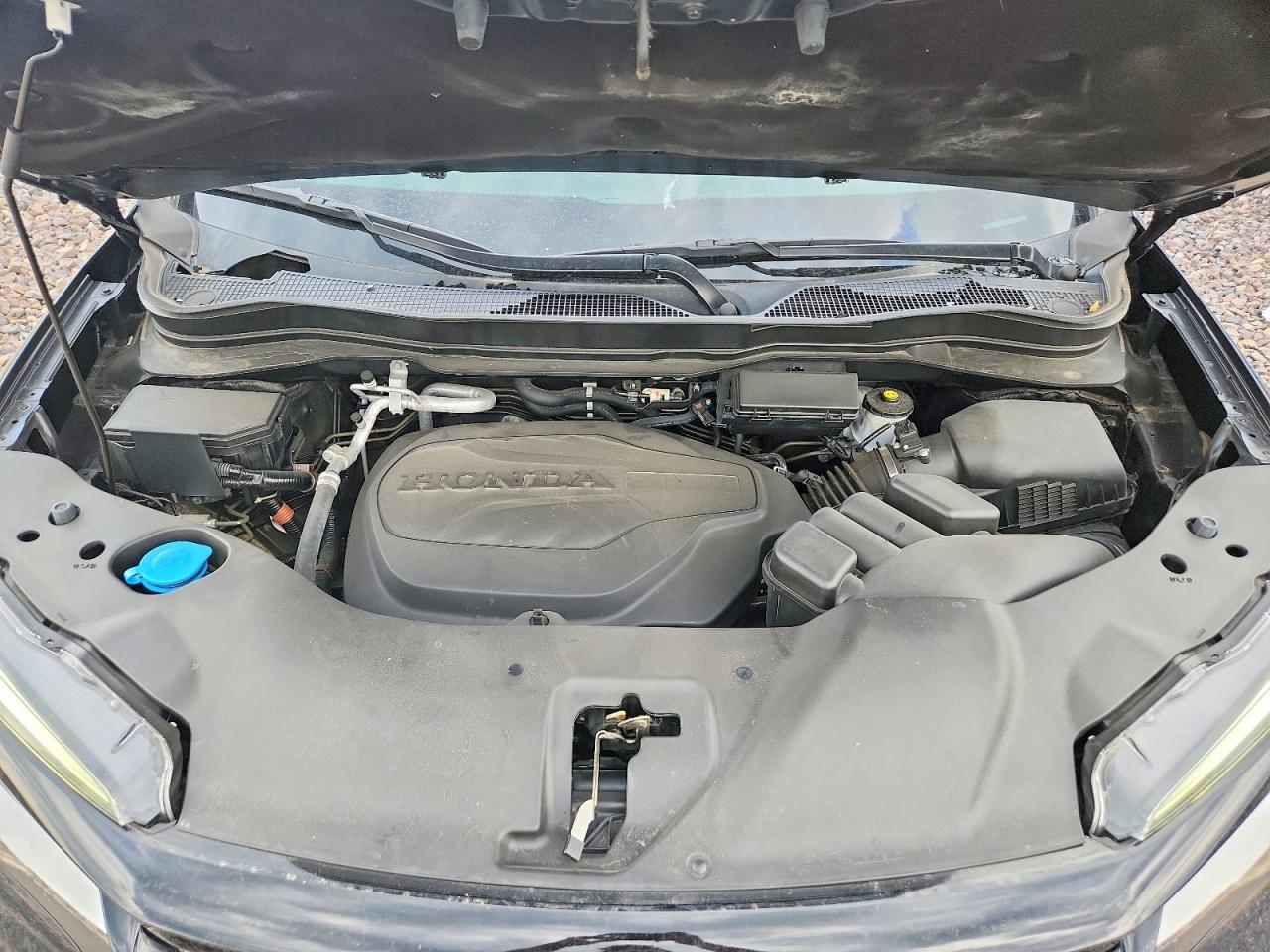 Honda Passport Elite