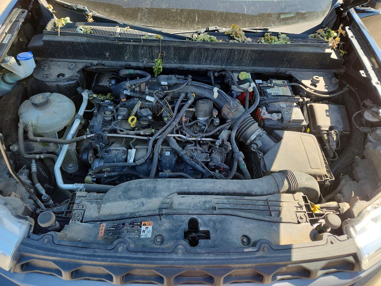 Ford Maverick Xl