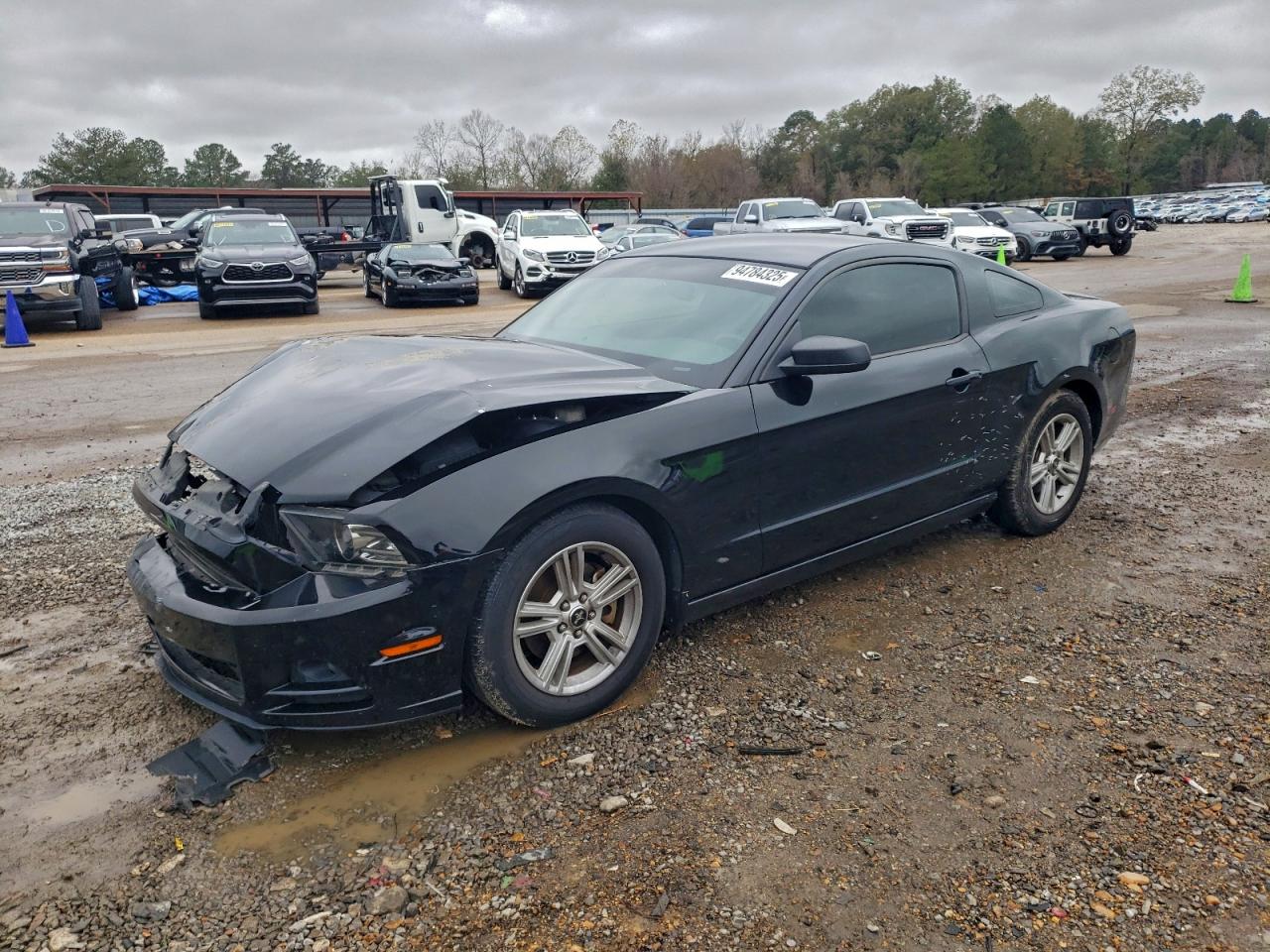 Salvage Ford Mustang Image