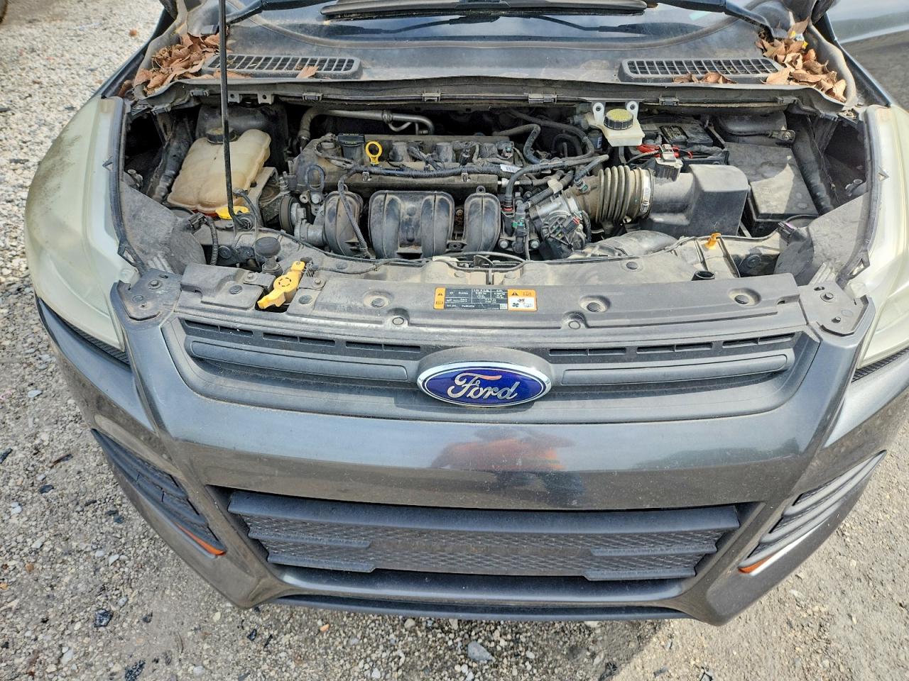 Ford Escape S