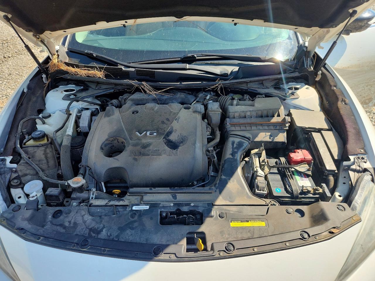 Nissan Maxima 3.5 Sr
