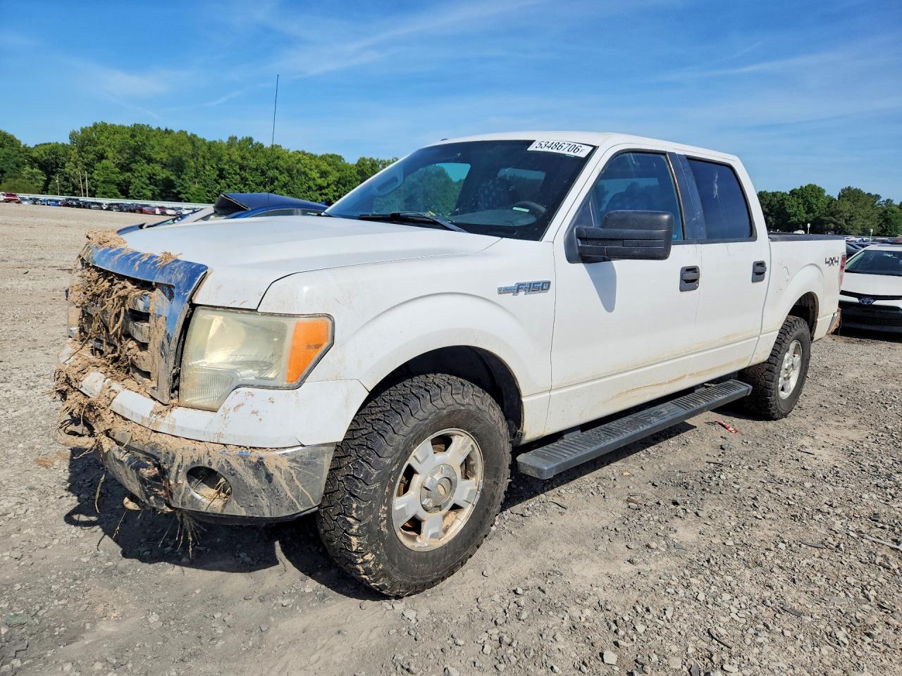 Salvage Ford F-150 Image