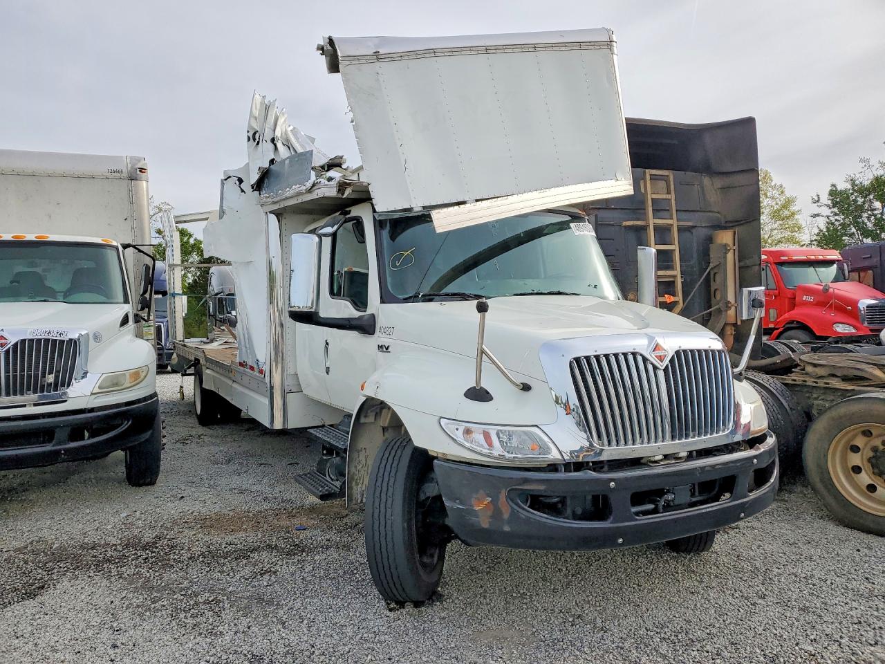 International Mv607