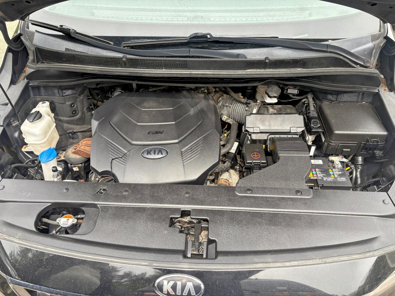 Kia Sedona Ex