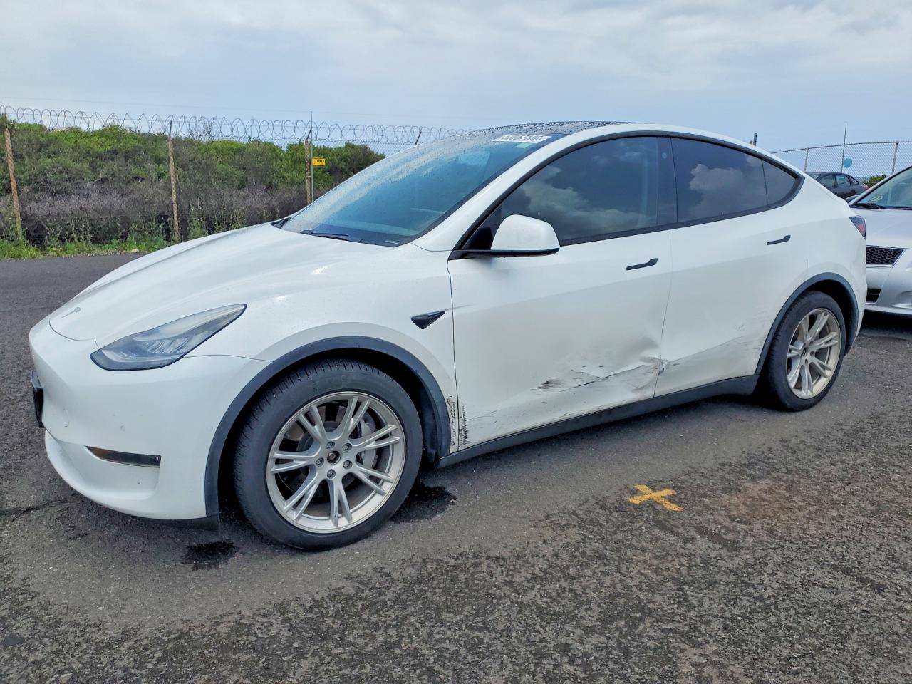 Salvage Tesla Model Y Image