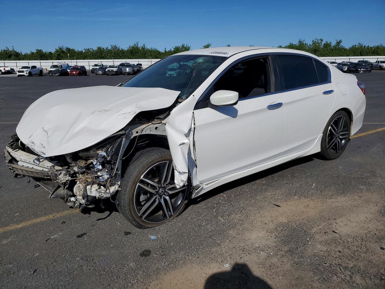 Salvage Honda Accord Image