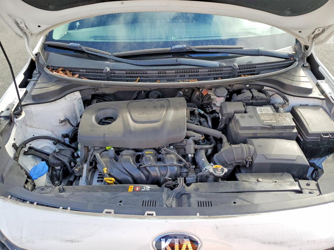 Kia Rio S