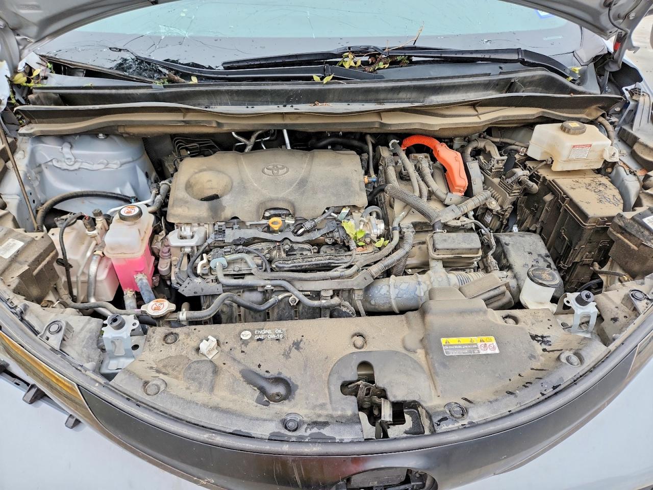 Toyota Sienna Woodland Edition