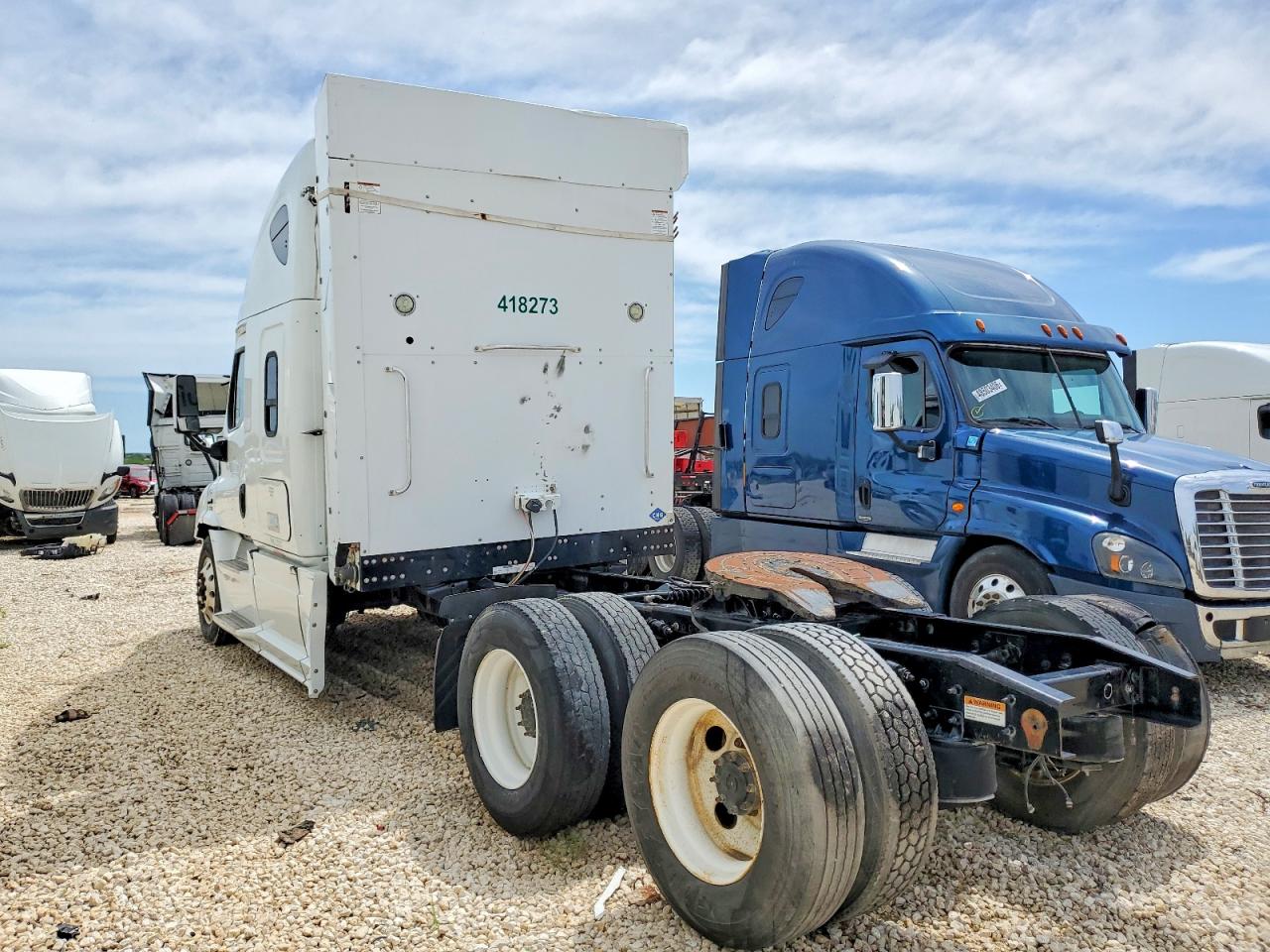 Freightliner Cascadia 113