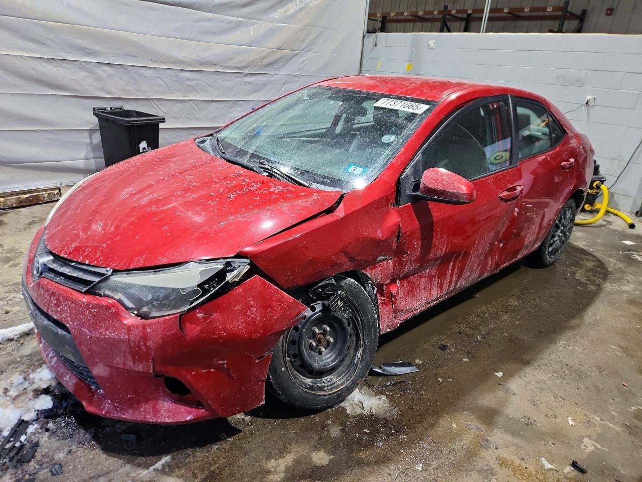 Salvage Toyota Corolla Image