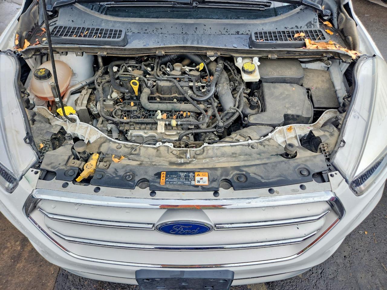 Ford Escape Se