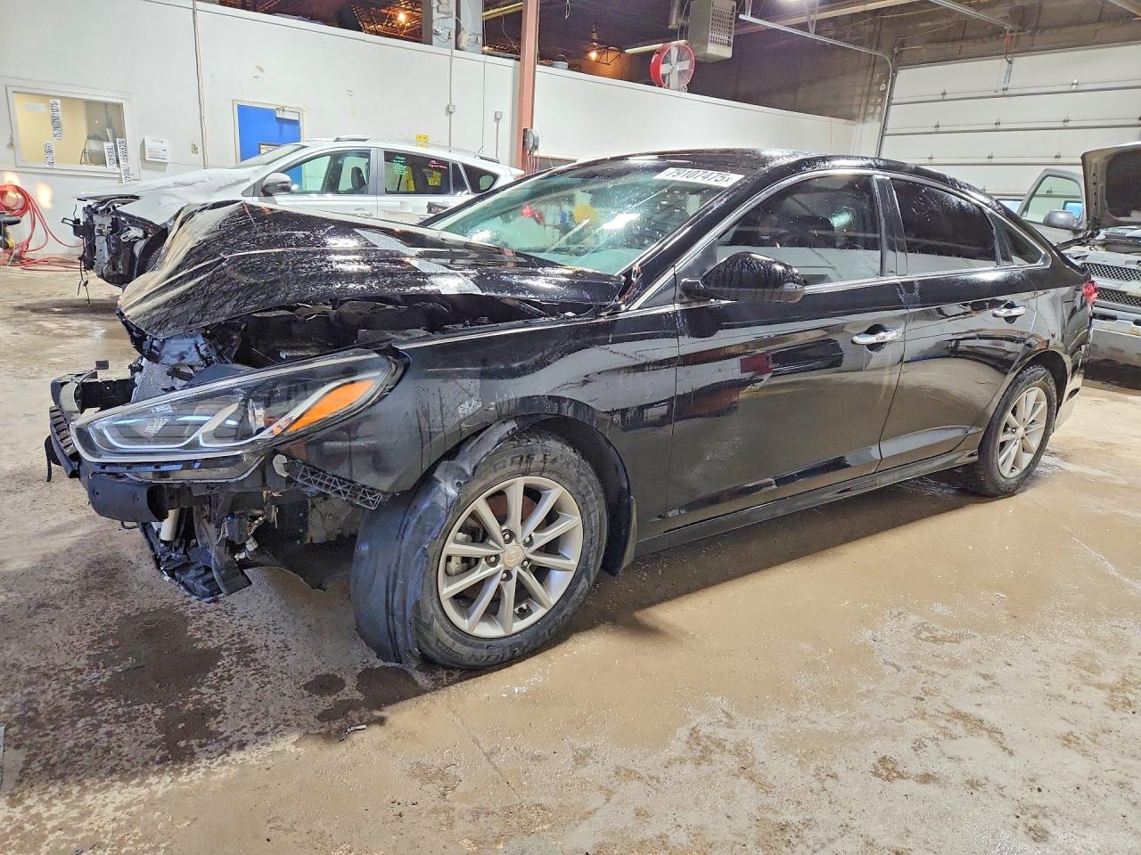 Salvage Hyundai SONATA Image
