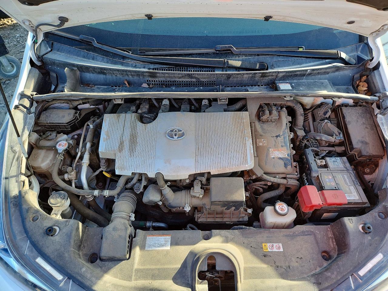 Toyota Prius Special Edition