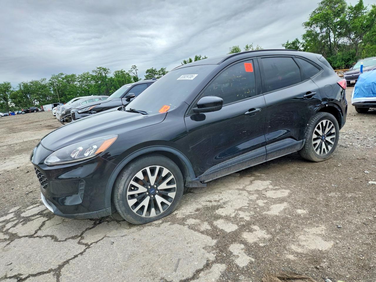 Salvage Ford Escape Image
