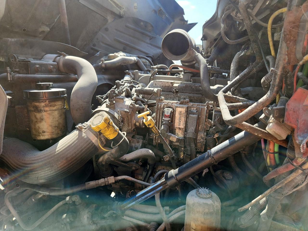 International 8000