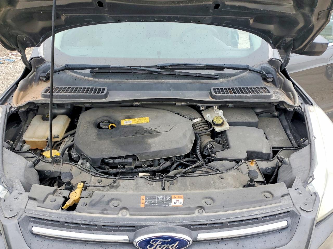 Ford Escape Se