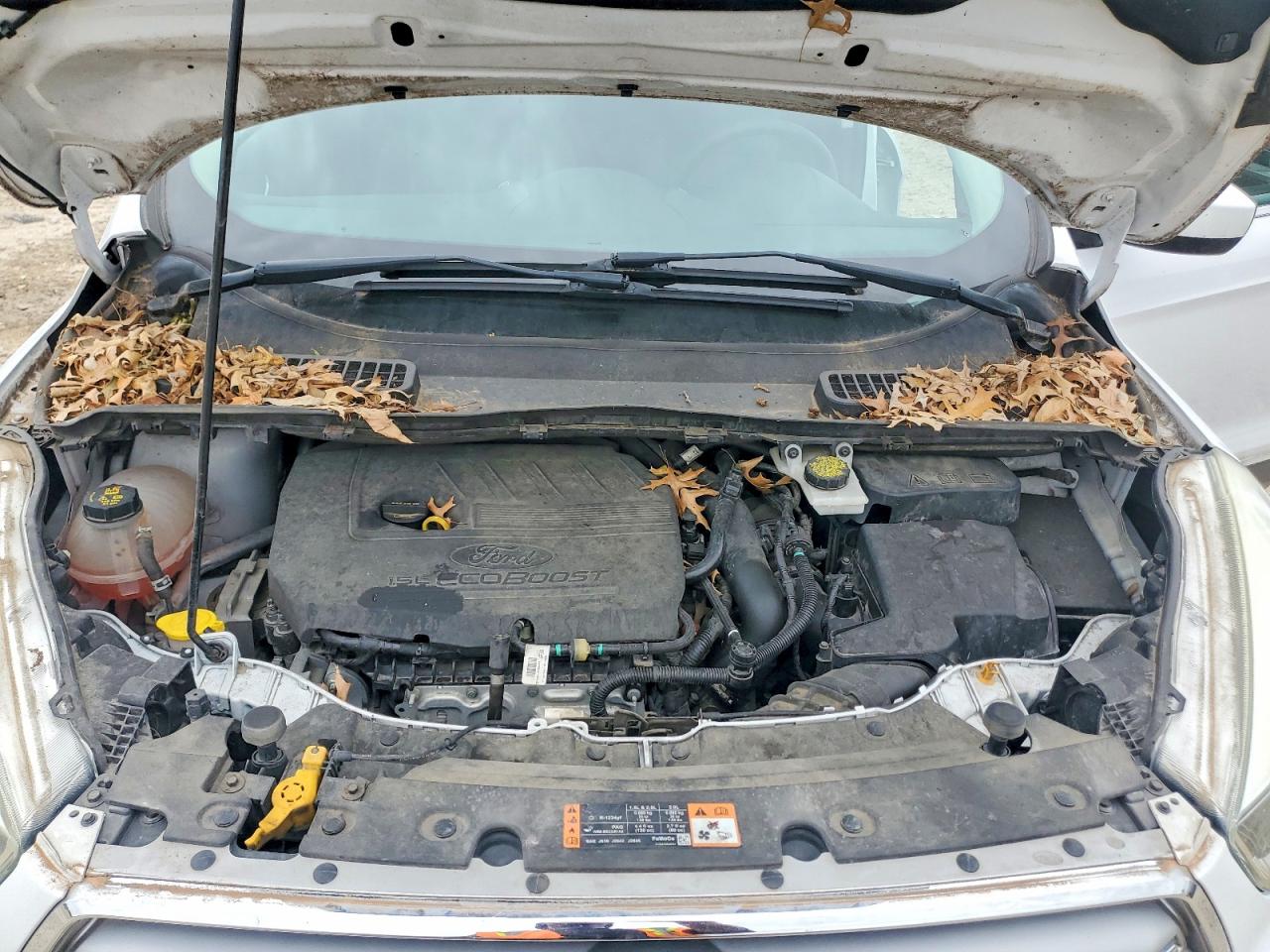 Ford Escape Se