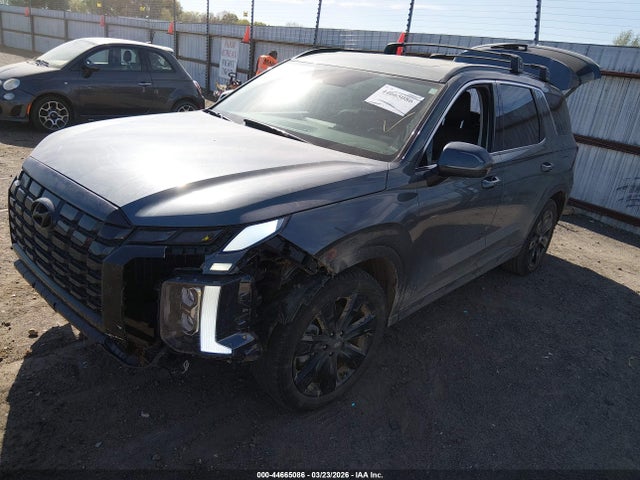 Hyundai PALISADE Xrt