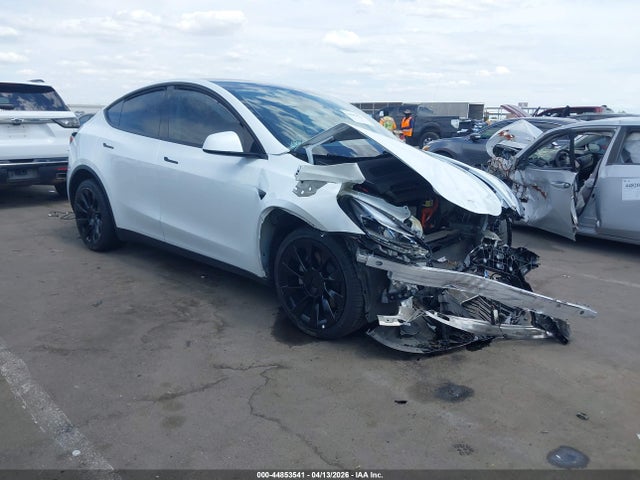 Salvage Tesla Model Y Image