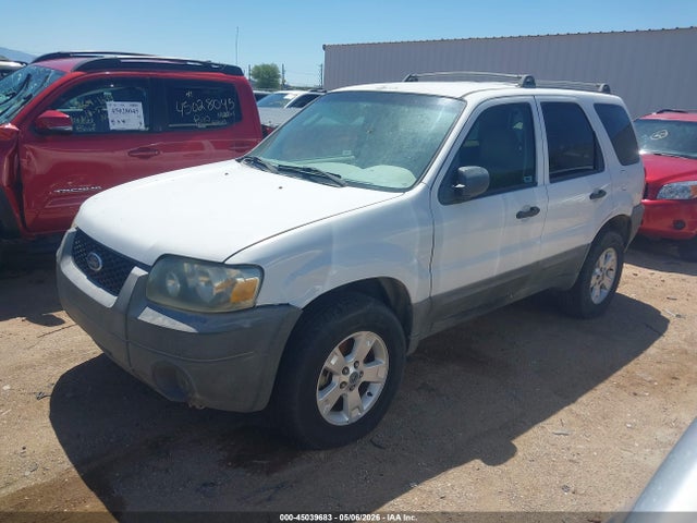 Ford Escape Xlt