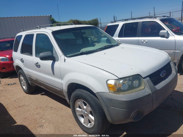Salvage Ford Escape Image