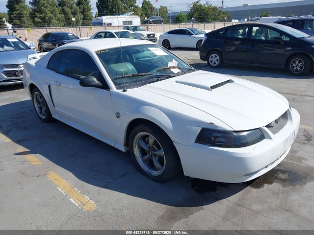 Salvage Ford Mustang Image