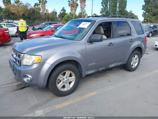 Ford Escape