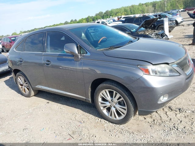 Salvage Lexus RX Image