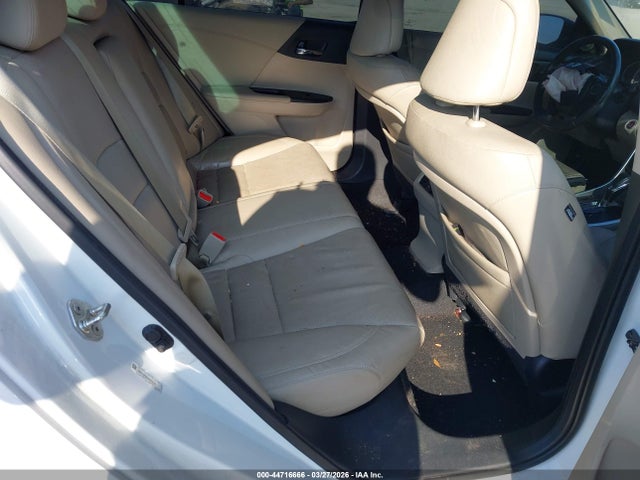 Honda Accord Ex-l V-6