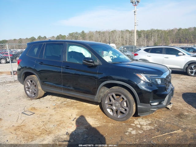 Salvage Honda Passport Image