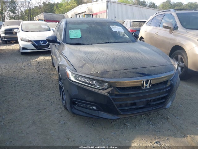 Salvage Honda Accord Image