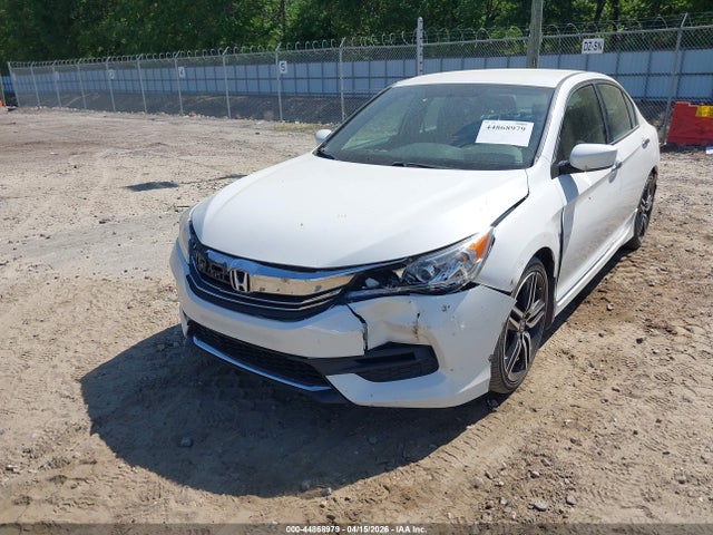 Honda Accord Sport