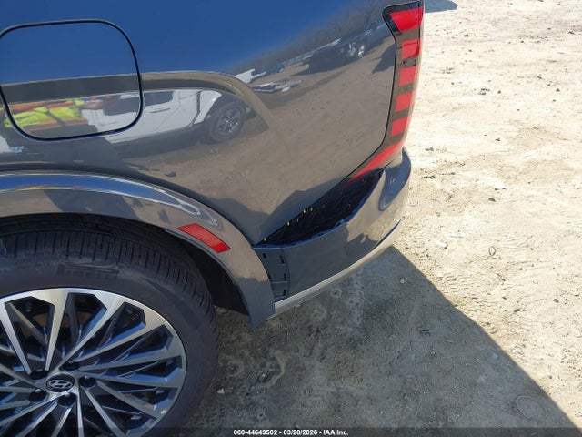 Hyundai PALISADE Calligraphy