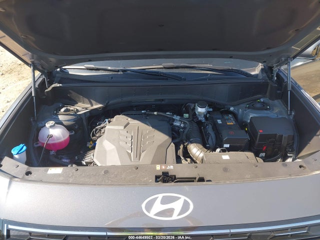 Hyundai PALISADE Calligraphy