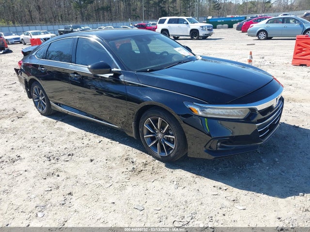 Salvage Honda Accord Image