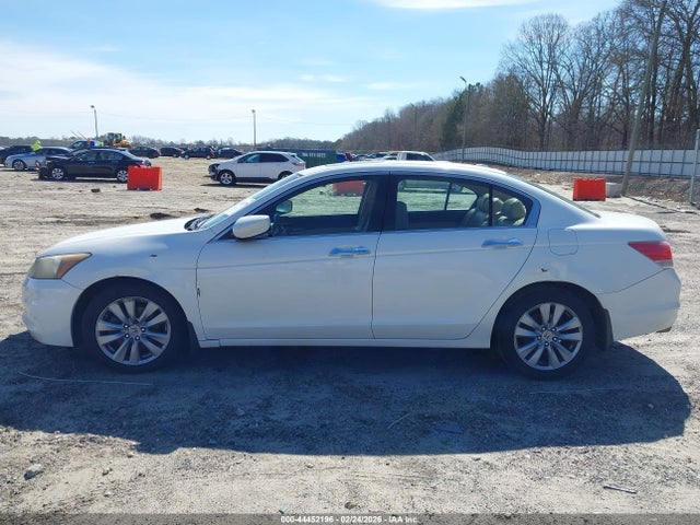 Honda Accord 3.5 Ex-l
