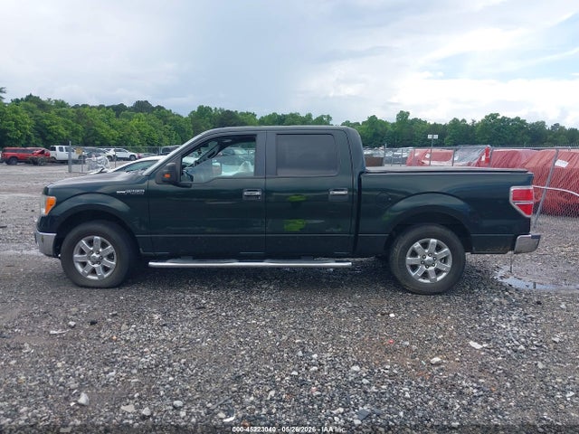 Ford F-150 Xlt