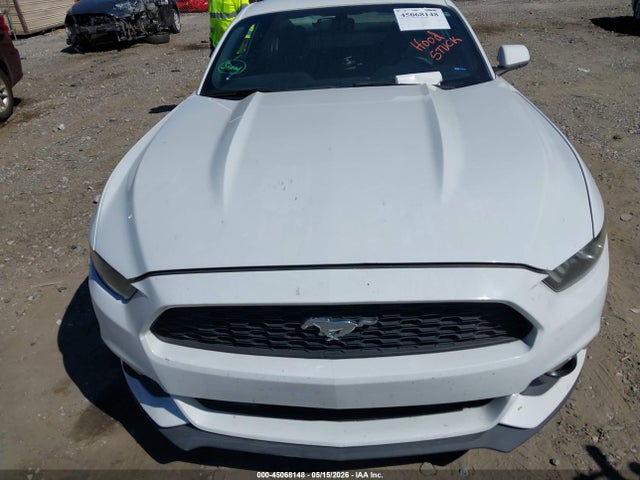 Ford Mustang V6