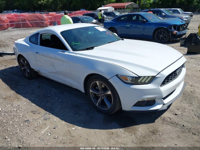 Salvage Ford Mustang Image